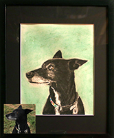 Commissioned Pet Portrait-Dog named Nitro-1